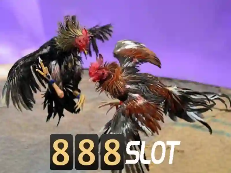 Tính Năng Slot