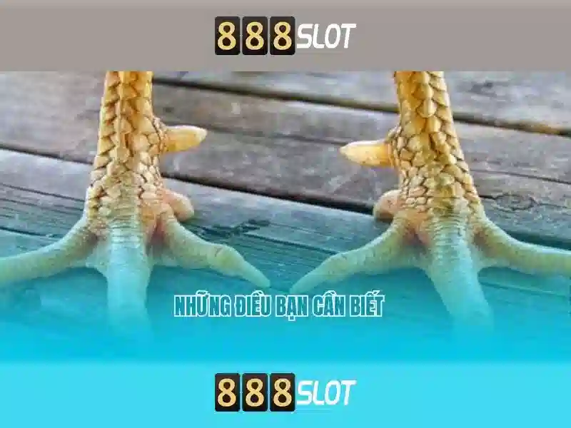 Hành trình Tài lộc 2026