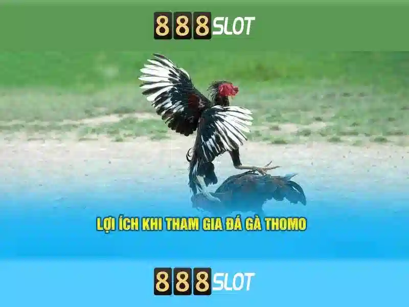 slot game 888slot trực tuyến