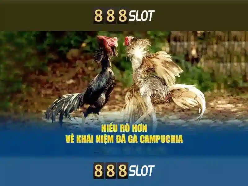 Trải Nghiệm Đỉnh Cao Với 888SLOT