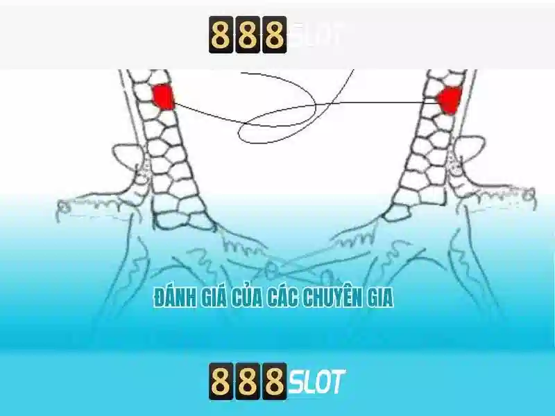 Giới Thiệu Về 888SLOT