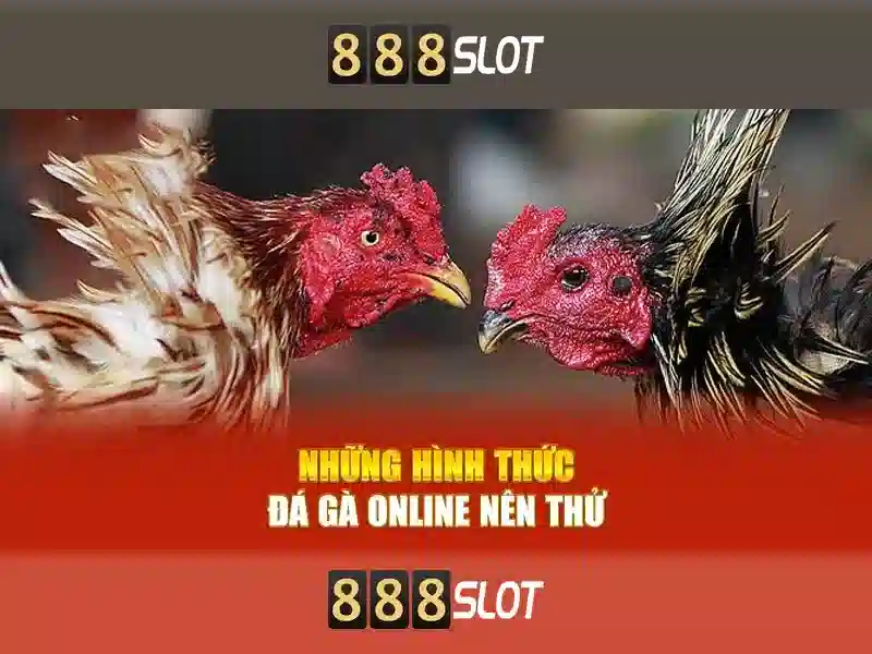Ưu Đãi Slot 888