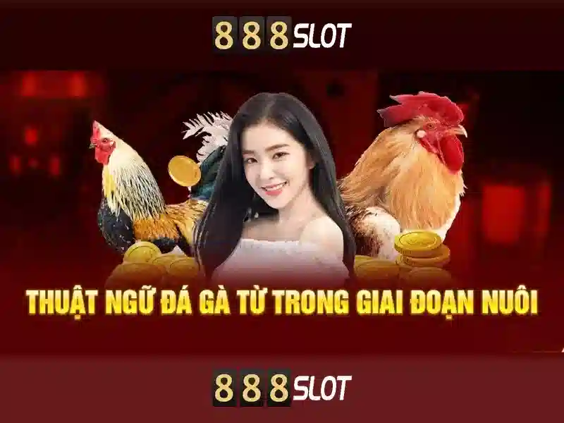 888slot APK Latest Version 2026