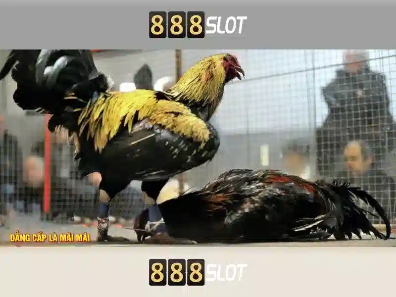Trải nghiệm game trực tuyến 888slot