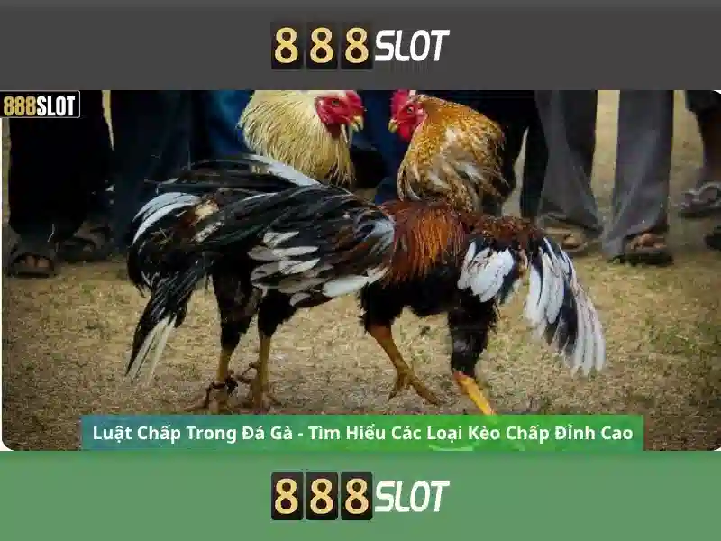 Các Loại Slot Được Ưa Chuộng Nhất