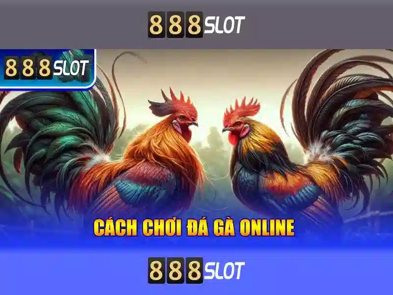 Hướng Dẫn Liên Hệ 888SLOT