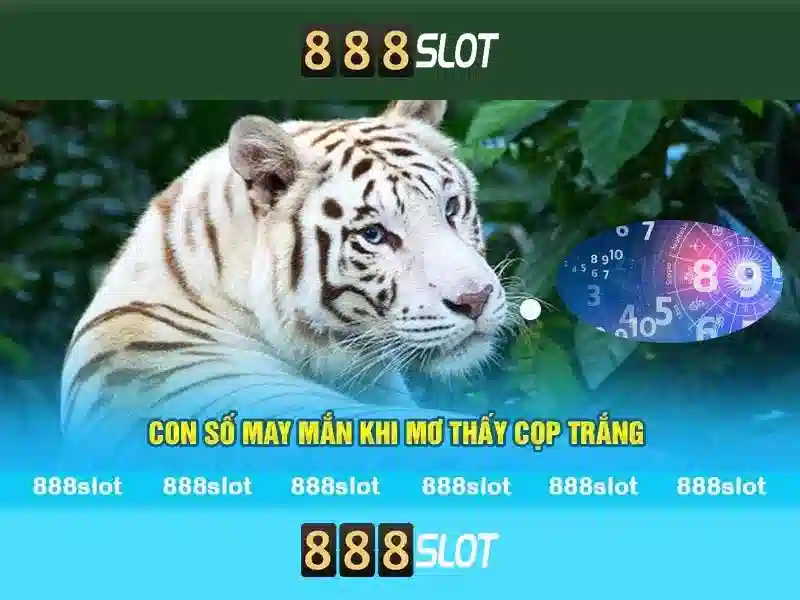 Chương trình nhận thưởng 888slot