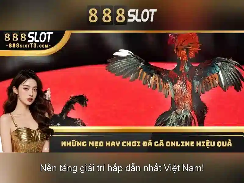 Link vào chính thức 888SLOT – Truy cập nhanh không bị chặn 2026