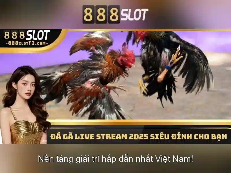 Tính Năng Đặc Sắc Của 888SLOT