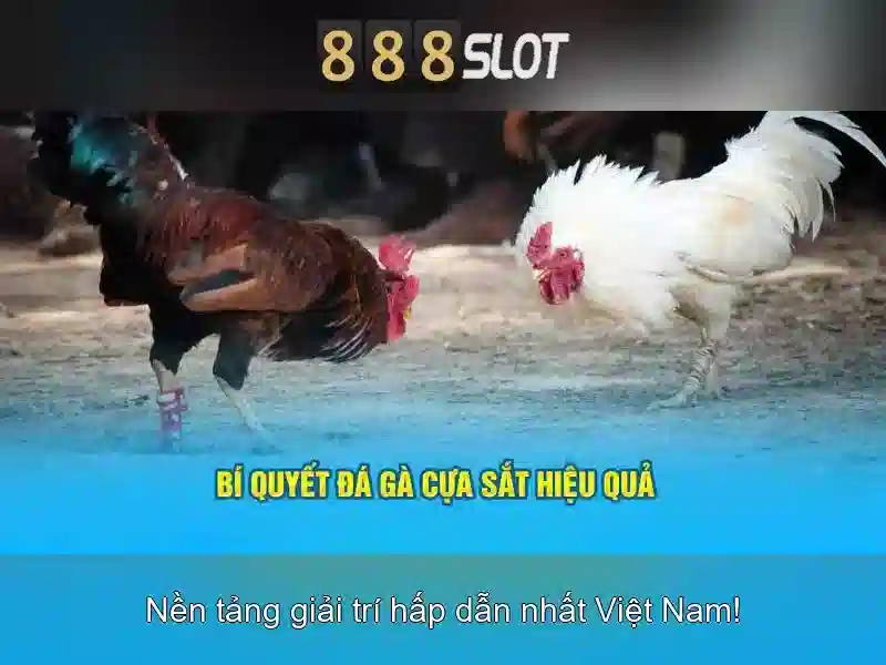 Hướng dẫn nạp tiền Slot 888 tại 888SLOT IMG.T --></p><h2><strong>Trải Nghiệm Slot 888 Đỉnh Cao Với 888SLOT</strong></h2><p>888SLOT mang đến trải nghiệm Slot 888 không giới hạn với hàng loạt trò chơi hấp dẫn, đồ họa chất lượng cao và cơ hội nhận thưởng lớn. Slot 888 tại 888SLOT được thiết kế chuyên nghiệp, đảm bảo tính công bằng và an toàn cho người chơi.</p><p>Đặc biệt, 888SLOT cung cấp nhiều khuyến mãi hấp dẫn cho người chơi Slot 888, bao gồm:</p><ul><li>Khuyến mãi nạp tiền Slot 888 đầu tiên lên đến 100%</li><li>Ưu đãi hoàn trả 10% cho mỗi lần nạp tiền Slot 888</li><li>Giảm giá 50% cho các lần nạp tiền Slot 888 liên tiếp</li><li>Quà tặng đặc biệt cho người chơi Slot 888 tham gia sự kiện</li></ul><h3>Trải Nghiệm Slot 888 Trên Di Động</h3><p>888SLOT hỗ trợ người chơi Slot 888 trải nghiệm trò chơi trên cả nền tảng di động và PC. Người chơi có thể truy cập <a href='https://888slotlogin.com' title='888SLOT'>888SLOT</a> từ thiết bị di động để tận hưởng Slot 888 mọi lúc, mọi nơi.</p><p class='body_img'></p><h2><strong>Trải Nghiệm Slot 888 Đỉnh Cao Với 888SLOT</strong></h2><p>888SLOT mang đến trải nghiệm Slot 888 không giới hạn với hàng loạt trò chơi hấp dẫn, đồ họa chất lượng cao và cơ hội nhận thưởng lớn. Slot 888 tại 888SLOT được thiết kế chuyên nghiệp, đảm bảo tính công bằng và an toàn cho người chơi.</p><p>Đặc biệt, 888SLOT cung cấp nhiều khuyến mãi hấp dẫn cho người chơi Slot 888, bao gồm:</p><ul><li>Khuyến mãi nạp tiền Slot 888 đầu tiên lên đến 100%</li><li>Ưu đãi hoàn trả 10% cho mỗi lần nạp tiền Slot 888</li><li>Giảm giá 50% cho các lần nạp tiền Slot 888 liên tiếp</li><li>Quà tặng đặc biệt cho người chơi Slot 888 tham gia sự kiện</li></ul><h3>Trải Nghiệm Slot 888 Trên Di Động</h3><p>888SLOT hỗ trợ người chơi Slot 888 trải nghiệm trò chơi trên cả nền tảng di động và PC. Người chơi có thể truy cập <a href='https://888slotlogin.com' title='888SLOT'>888SLOT</a> từ thiết bị di động để tận hưởng Slot 888 mọi lúc, mọi nơi.</p><p class='body_img'><div class=