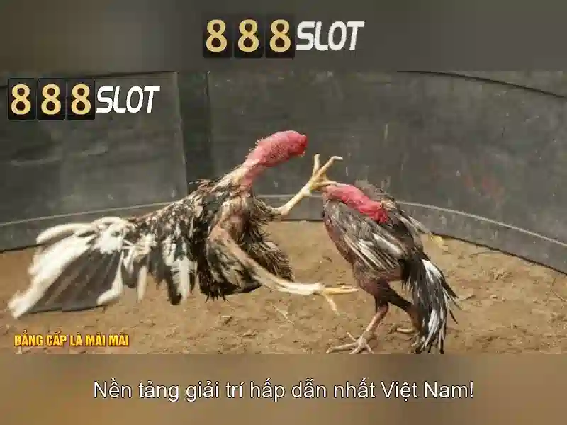 Hướng Dẫn Đăng Nhập 888SLOT