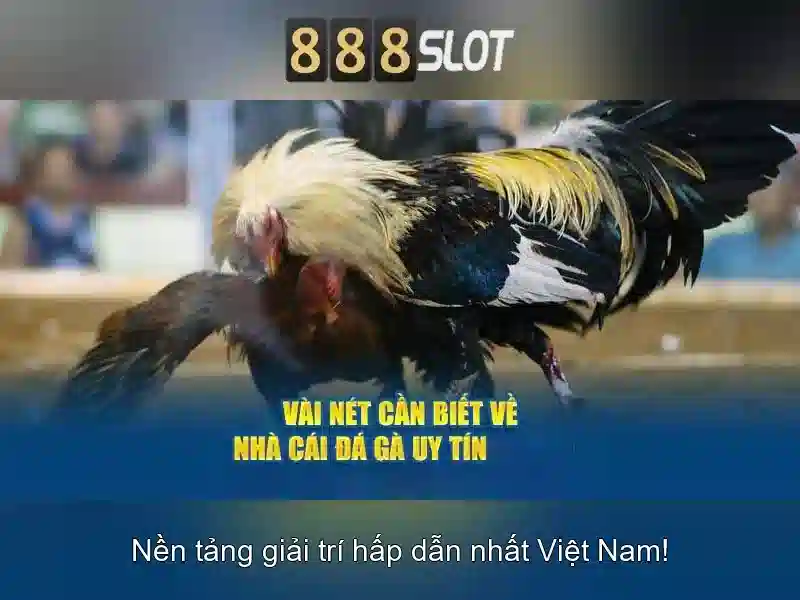 Tính Năng Đặc Sắc Của 888SLOT